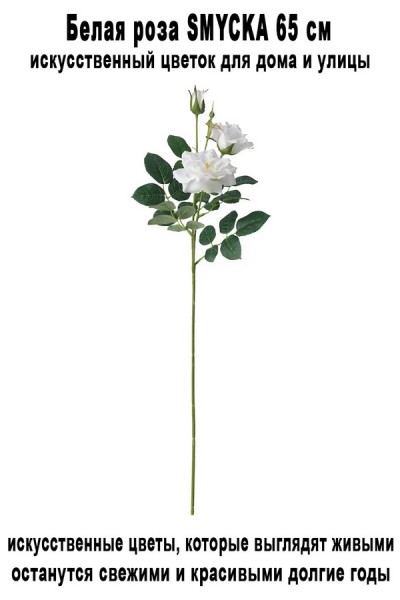 Роза SMYCKA 65 см