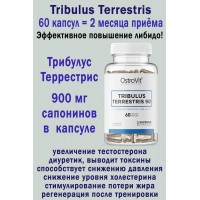 OstroVit Tribulus Terrestris 900 mg 60 kaps - МУЖСКОЕ ЗДОРОВЬЕ