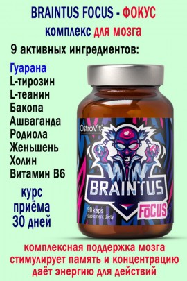 OstroVit Braintus Focus 90 kaps - для мозга