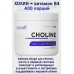 OstroVit Cholina 200 g naturalny - ХОЛИН