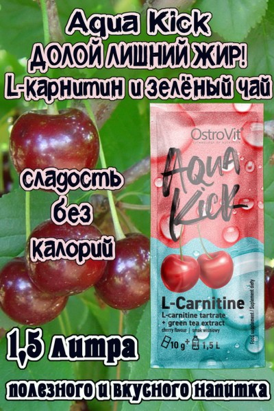 OstroVit Aqua Kick L-Carnitine 10 g - L-КАРНИТИН + ЗЕЛЁНЫЙ ЧАЙ