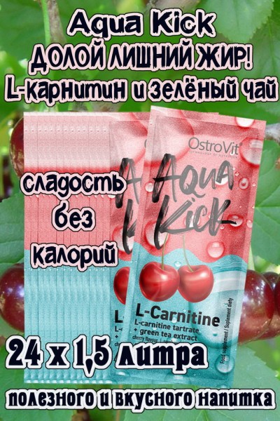 OstroVit Aqua Kick L-Carnitine 10 g x 24 BOX - L-КАРНИТИН + ЗЕЛЁНЫЙ ЧАЙ