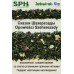 Зелёный чай 1226 OPOWIESCI-SZEHEREZADY 10g