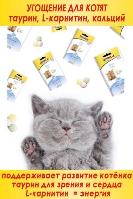 GIMCAT KITTEN TABS 40гр